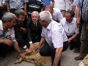 Mhp’Li Durmaz, Kurban Kesilerek Ankara‘ya Uğurlandı