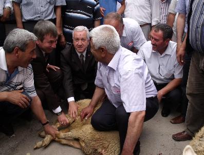 SADİR DURMAZ - Mhp’Li Durmaz, Kurban Kesilerek Ankara‘ya Uğurlandı