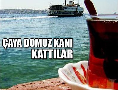 RIZE TICARET BORSASı - Tavşan değil domuz kanı...