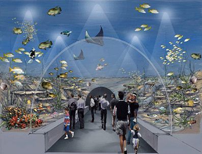 İstanbul Akvaryum 25 Haziran'da açılacak