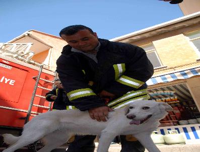 Sahibi Tarafından Evde Yalnız Bırakılan Köpeği İtfaiye Ekipleri Kurtardı