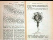 Kütüphaneye 122 yıl sonra iade edildi