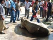 Dereden at kurtarma operasyonu