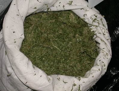 Dicle kenarında helikopterle kenevir operasyonu