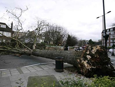 Viatnam'daki kasırga 7 can aldı