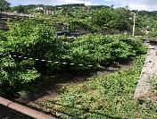 Temizlenmeyen Dere Korkutuyor