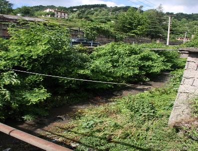 Temizlenmeyen Dere Korkutuyor