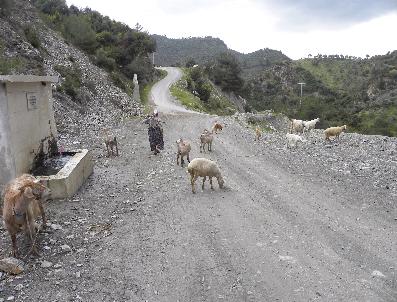 KONUKLU - Paşayaylası’Nın Yol Sorunu Çözülüyor
