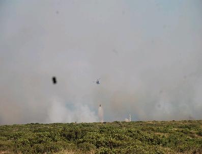 Didim'deki yangın kontrol altına alındı