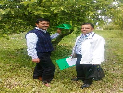 Elma İç Kurdu İle Mücadele Başladı