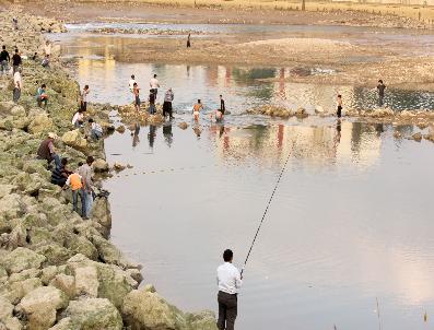 Suyu Çekilince Seyhan Nehri Yosuna Büründü