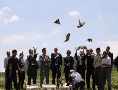 Kınalı Keklikler Doğaya Bırakıldı