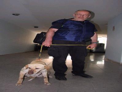 Köpeği İçin 5 Yıldır Verdiği Hukuk Mücadelesini Kazandı