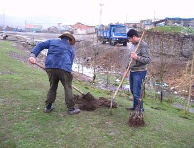 Digor Ve Sarıkamış’Ta “Yarı Bodur Elma” Projesi Hayata Geçirildi