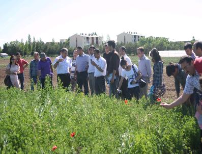 DUMLU - Doğu Anadolu Tarımsal Araştırma Enstitüsü’Nde Eğitim Semineri