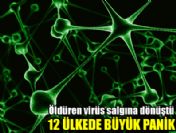Öldüren virüs salgına dönüştü