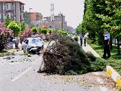 Adıyaman‘da Trafik Kazası: 1 Ölü