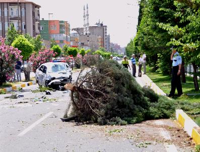 Adıyaman‘da Trafik Kazası: 1 Ölü
