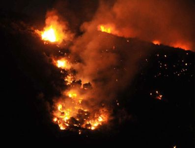 Bodrum'da makilik alanda 4 ayrı noktada yangın çıktı.