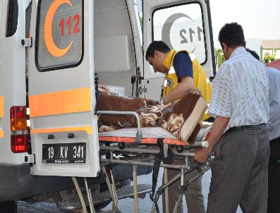 Çorum‘da Yolcu Otobüsü Devrildi: 57 Yaralı