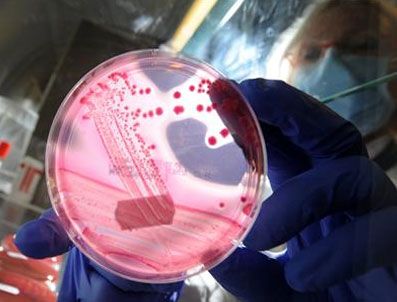 EHEC bakterisi nasıl bulaşıyor?
