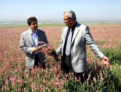 Eskişehir Orman Bölge Müdürlüğü Hayvancılığa Destek Veriyor