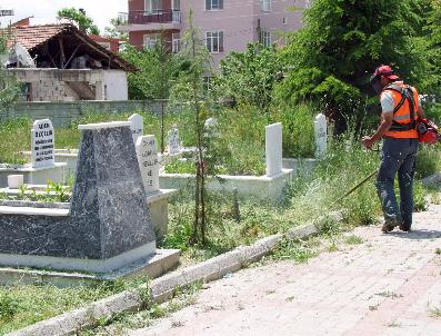 Korkuteli‘nde Mezarlıklarda Bakım Çalışması Yapılıyor