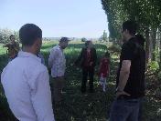 Ölen Kadınların Üzerine Yıldırımı Ellerindeki Çapa Çekmiş