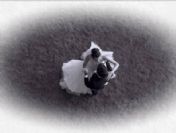 Gönülçelen 54. Bölüm özeti ve fragmanı