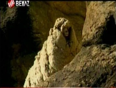 SHREK - Kırpılmak'tan kurtulamadı