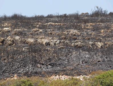 Didim Ziraat Odası’Ndan Yangınlara Karşı Uyarı