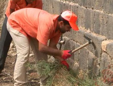ALI SAĞLAM - Cizre’De Tarihi Eserlerin Çevre Temizliği Başladı