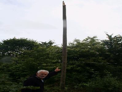 ORHANLı - Elektrik Direğine Yıldırım Düştü