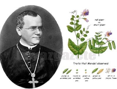 Google'den Gregor Mendel süprizi