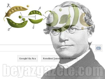 CHARLES DARWİN - Gregor Mendel Doğum Yıl Dönümüne Google'den Doodle jesti