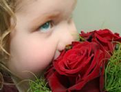 Güne gül koklayarak başlayın