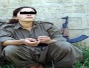 Pkk’Dan 11 Yıl Sonra Kurtulabildi