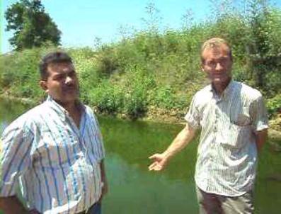 İHTIYAR HEYETI - Balık Ölümleri