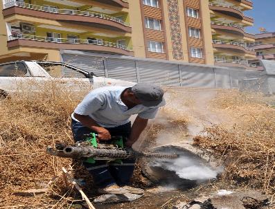 TURGUT OĞUZ - Sivrisineksiz Bir Yaz İçin Aliağa‘da Etkin Mücadele
