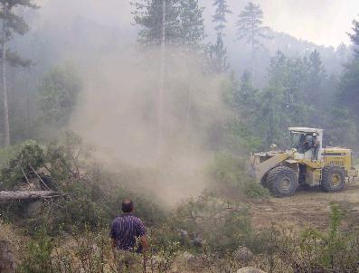 Kütahya‘da Orman Yangını