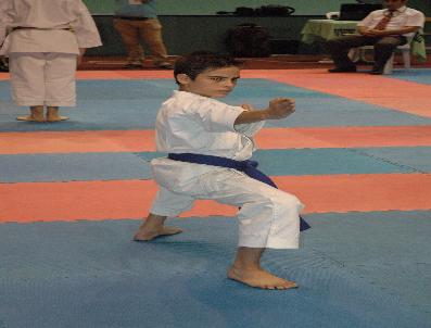Open Karate Turnuvası Sakarya‘da Başladı