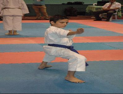 Sakarya Open Karate Turnuvasında 2. Gün Geride Kaldı
