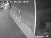 1,5 dakikada 2 kilo altın