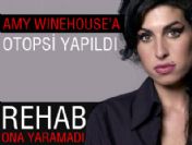 Amy Winehouse'un evinde uyuşturucuya rastlanmadı