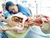 Dicle Üniversitesi'ne Kadavra Laboratuvarı kuruluyor