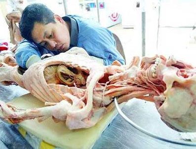 Dicle Üniversitesi'ne Kadavra Laboratuvarı kuruluyor