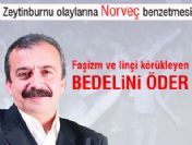 BDP'li Sırrı Süreyya Önder'den, Zeytinburnu Olaylarına Norveç Benzetmesi