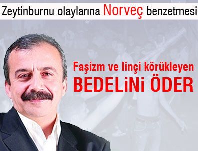 BDP'li Sırrı Süreyya Önder'den, Zeytinburnu Olaylarına Norveç Benzetmesi