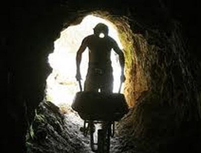 BLACK SWAN - Şilili medencilerin filmi çekilecek