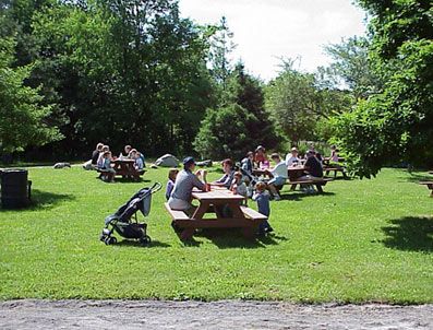Ankara'da orman alanına girişler yasaklandı